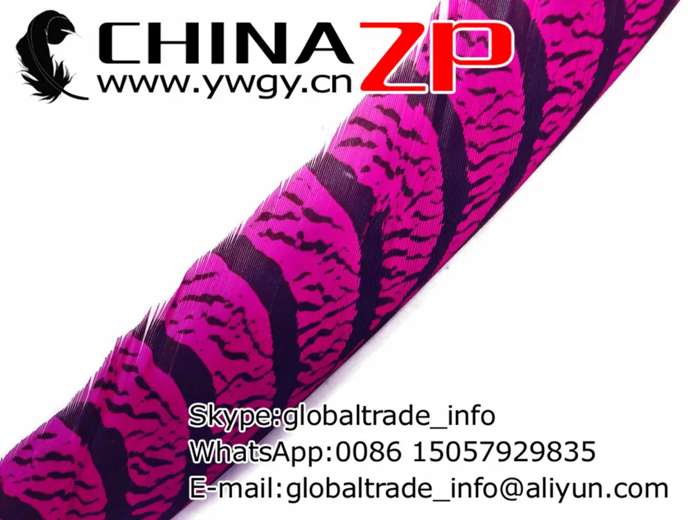 CHINAZP Rūpnīcas 90~100 cm(36~40inch) 50gab/daudz augstākās Kvalitātes Krāsoti Karstā Rozā Zebra Dāma Amherst Fazāna Spalvām Attēls 2