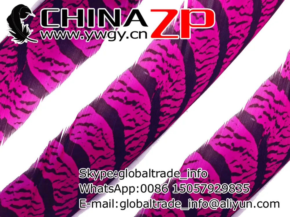 CHINAZP Rūpnīcas 90~100 cm(36~40inch) 50gab/daudz augstākās Kvalitātes Krāsoti Karstā Rozā Zebra Dāma Amherst Fazāna Spalvām Attēls 3