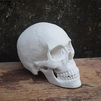 Bezmaksas Piegāde!! Mākslīgās Cilvēka Galvaskausa Modeli, Sveķu Skelets Vadītāja Manekena Karstā Pārdošanas