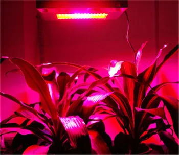 400w cob led augt gaismas =1500w na profesionālās ziedēšanas vairāk kondensatoru vairāk gaismas enerģijas efektīvāku ziedu pirkt \ LED Apgaismojums ~ www.xenydancestudio.lv 11